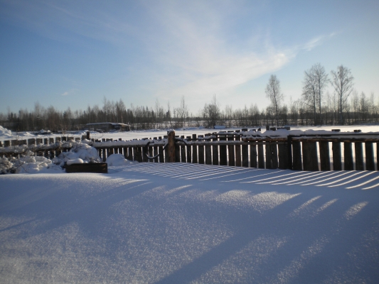 Похолодание до -10°С ожидается в Удмуртии к вечеру 2 декабря