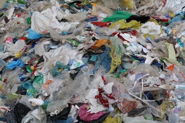 О предстоящем запрете пластиковых пакетов сообщили в Роспотребнадзоре
