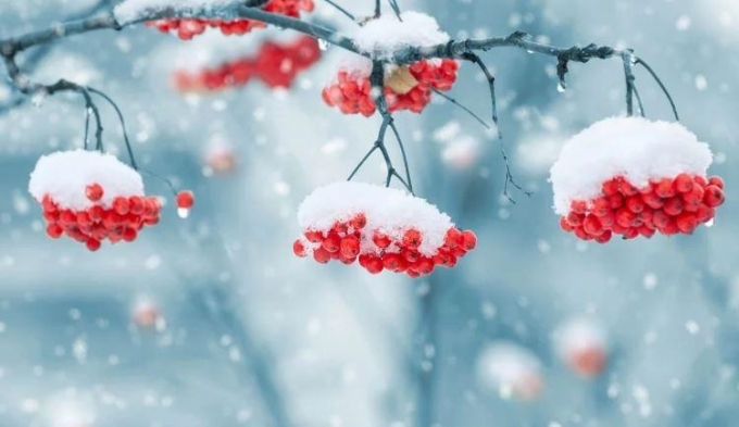 Снежная погода и заносы на дорогах ожидаются в Удмуртии в первый день календарной зимы 