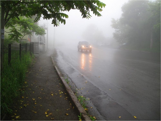 Сильные дожди и туман ожидаются в Удмуртии ночью и утром 15 августа