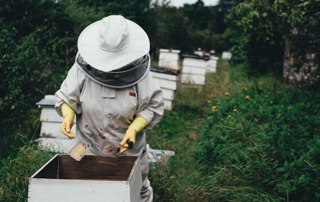 Электронный реестр пчеловодческих хозяйств создали в Удмуртии