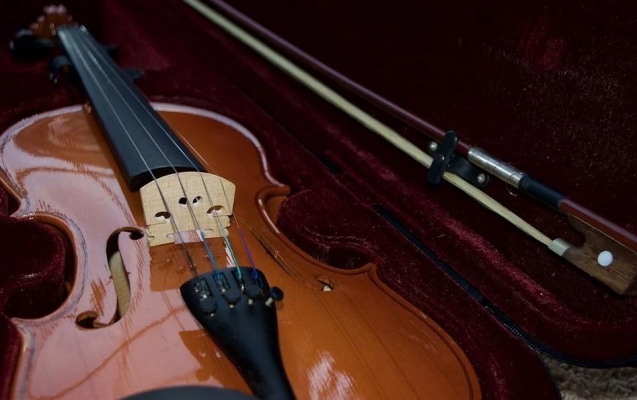 Подлинную скрипку Моцарта не привезут в Удмуртию из-за коронавируса