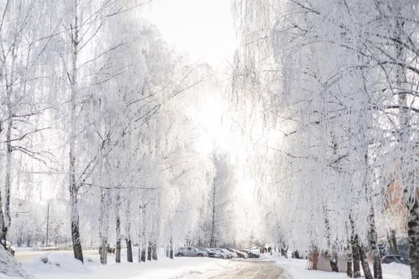 Жителей Удмуртии предупредили о продолжительных снегопадах