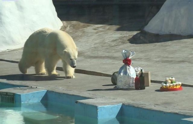 Зоопарк Ижевска переходит на зимний режим работы