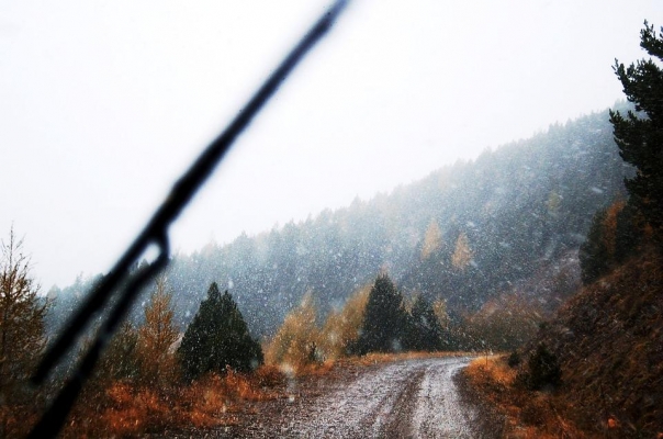 Небольшие осадки в виде дождя и снега ожидаются в Удмуртии 26 сентября
