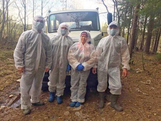 В Удмуртии обнаружили труп кабана с подозрением на африканскую чуму свиней