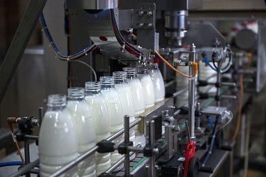 Объём реализации молока в сельхозорганизациях России вырос на 3,3%