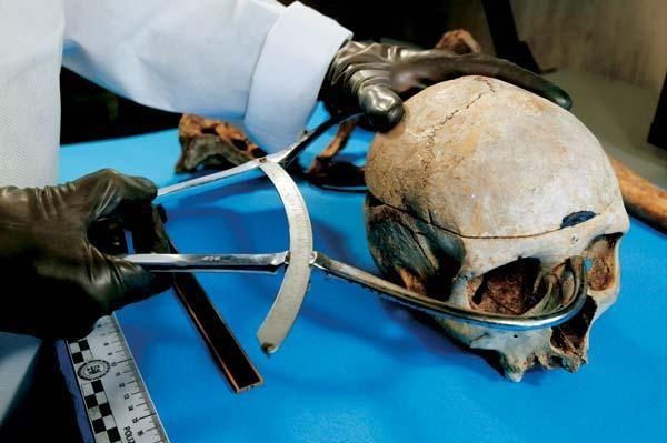 Человеческий череп обнаружили дети в Ижевске
