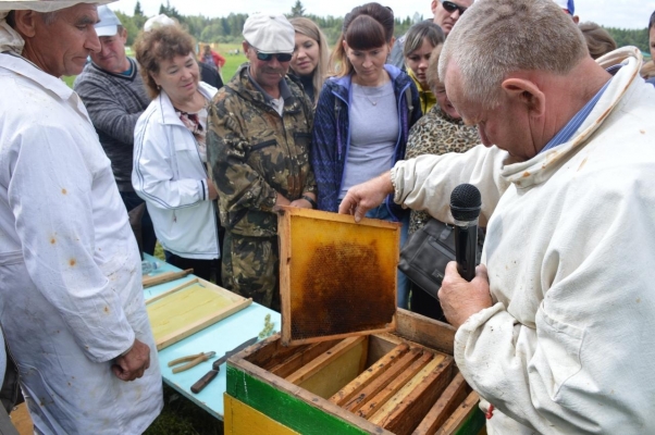 В Удмуртии появится реестр пчеловодов  