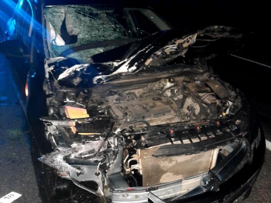 Пешеход погиб под колесами автомобиля в темное время суток в Удмуртии