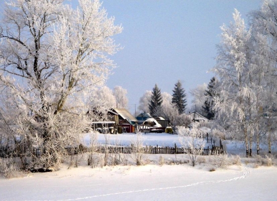 До 17 градусов мороза прогнозируют в Удмуртии 3 февраля 