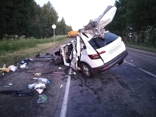 63-летний водитель иномарки погиб при столкновении с грузовиком на трассе в Удмуртии