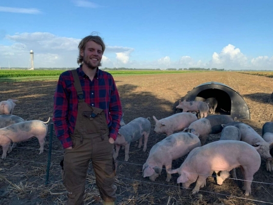 Голландцы послали свиней на борьбу с гусями в аэропорту Амстердама