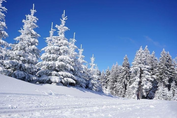 Продолжительный снег и накат на дорогах ожидается в Удмуртии 3 февраля 
