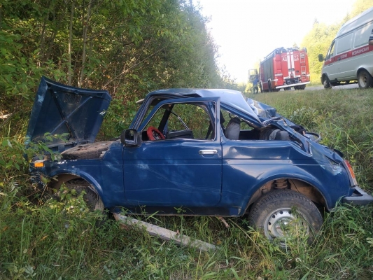 Нетрезвый водитель и его пассажирка получили травмы в опрокинувшемся автомобиле в Удмуртии