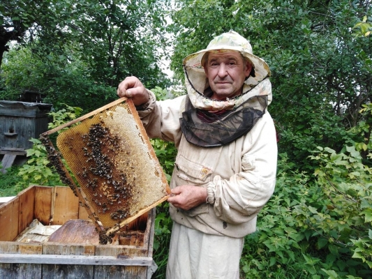 Более одного млн рублей получили владельцы пасек Удмуртии за гибель пчел в 2019 году