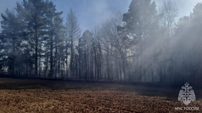 В Удмуртии сохраняется высокая пожароопасность лесов