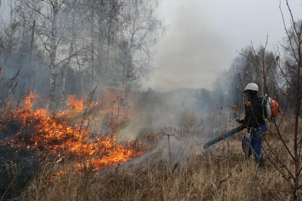 Пожароопасный сезон начал действовать в лесах Удмуртии 