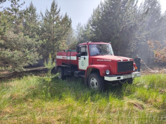 Пожароопасный сезон в лесах Удмуртии завершился