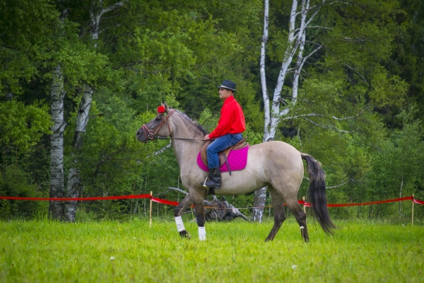 В мае в Удмуртии пройдет фестиваль конного биатлона 