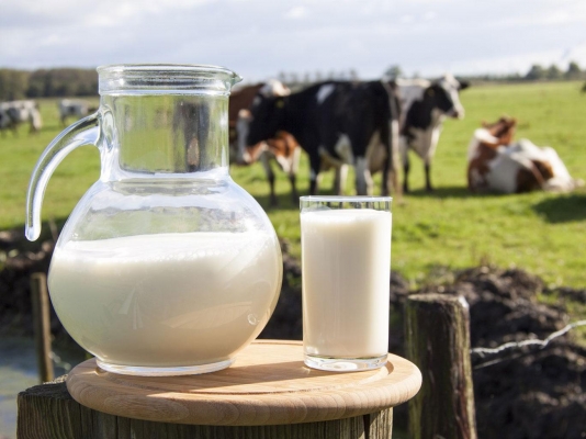 В апреле индекс цен на молоко в Удмуртии снизился на 1,2%