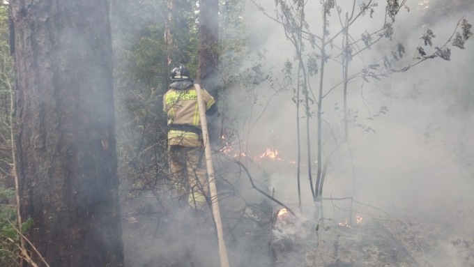 Национальный парк «Нечкинский» пострадал при лесном пожаре в Удмуртии