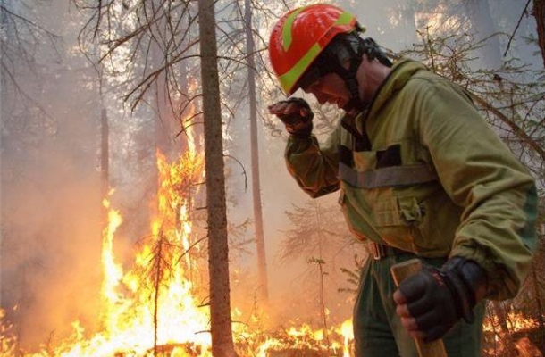В Генпрокуратуре заявили о поджогах и сокрытии масштабов лесных пожаров в Иркутской области