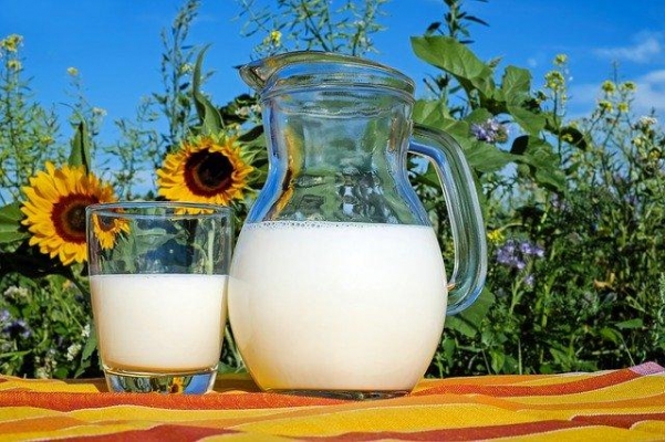 Объём реализации молока в сельхозорганизациях вырос на 3,7%
