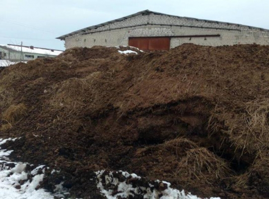 Фермера в Удмуртии оштрафовали за складирование навоза на земле