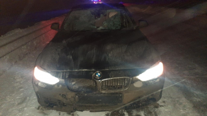 В Алнашком районе Удмуртии водитель сбил пешехода