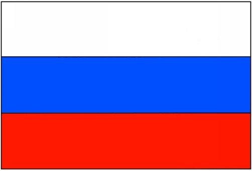 В Ижевске осудили мужчину за надругательство над Государственным флагом России