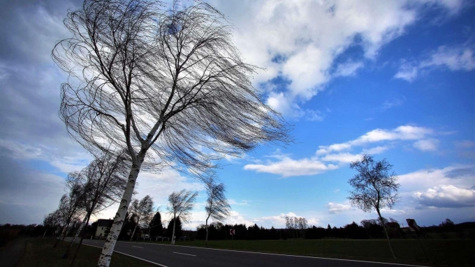 12 апреля в Удмуртии ожидается сильный ветер