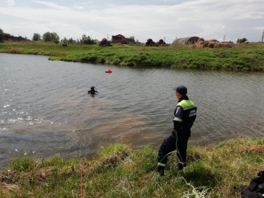 В Сарапульском районе Удмуртии в пруду утонул мужчина