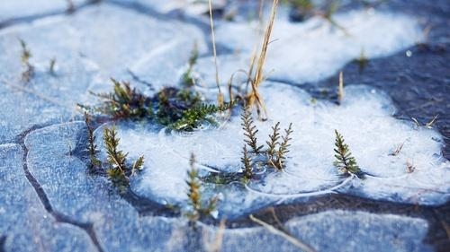 Снегопады и понижение температуры ожидаются в Удмуртии 18 - 21 января 