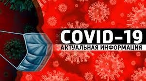 С 21 февраля в России начнут выдавать сертификаты по наличию антител к COVID-19