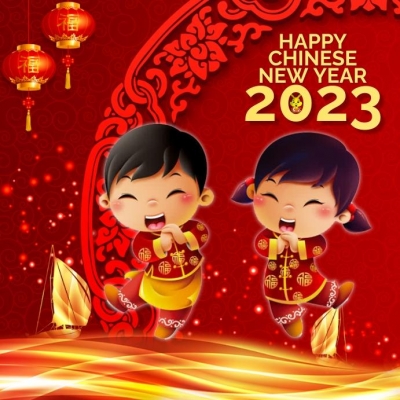 Этой ночью наступит Новый год самого загадочного животного по китайскому календарю