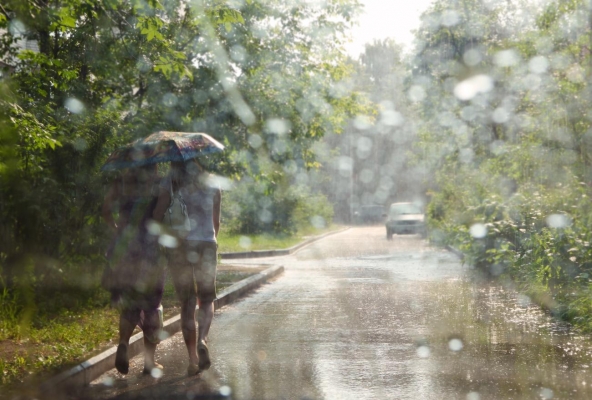 Дожди и грозы прогнозируют в Удмуртии 12 июля