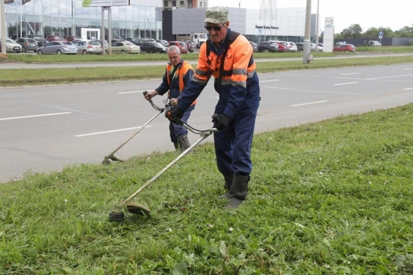 Стоимость работ по покосу травы вдоль автодорог в Ижевске составит 32 млн рублей