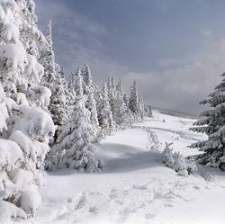 9 января в Удмуртии ожидается до -12°С