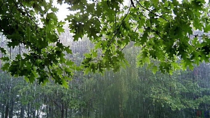 В ближайшие выходные в Удмуртии будет дождливо и прохладно