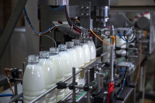 Объём реализации молока в сельхозорганизациях России вырос на 3%