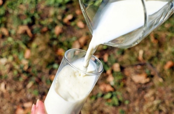 Молоко с заниженной жирностью обнаружили в магазинах Удмуртии