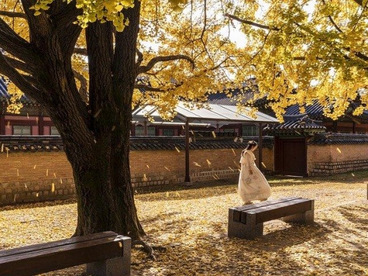 Жителям Удмуртии рассказали, что нужно для заключения брака в Южной Корее