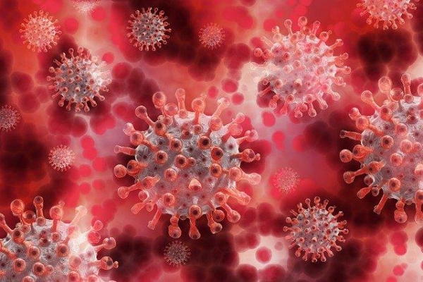 В Удмуртии выявили 228 новых случаев коронавирусной инфекции, 16 летальных случаев