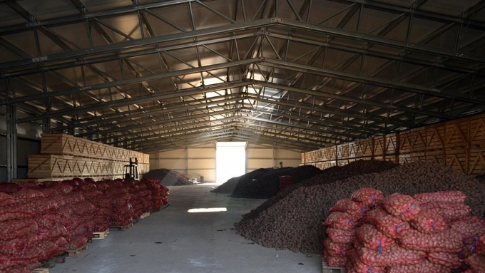Удмуртия в 2020 году направила на экспорт картофель и субстрат шампиньонной грибницы 
