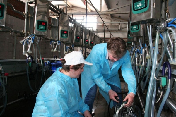 В Удмуртии представили топ-15 производителей молока
