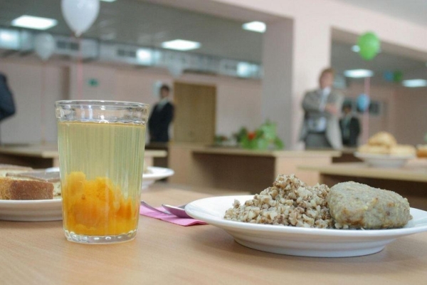 Нарушения санитарных норм выявили при организации питания в школах Воткинска