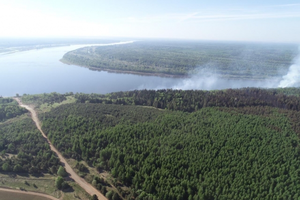 Чрезвычайная пожароопасность лесов в Удмуртии сохранится до 4 июня