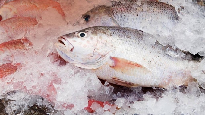 В Удмуртии изъяли из оборота более 500 кг потенциально небезопасной рыбы 
