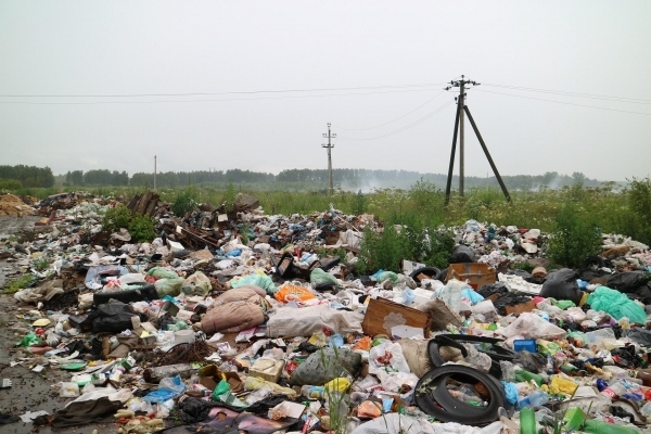 В России ввели штрафы за нарушение правил сбора и утилизации мусора